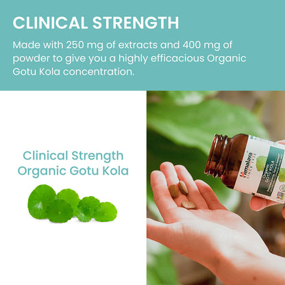 Authentic imported Himalaya Gotu Kola nootropic capsules bottle for Indian consumers