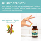 Himalaya Berberine with Ceylon Cinnamon for metabolic health support