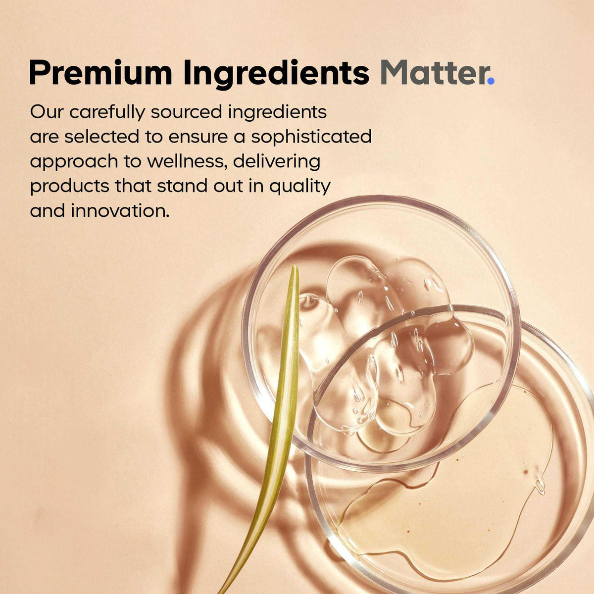 Close up view of the non GMO and gluten free certifications on the bottle.