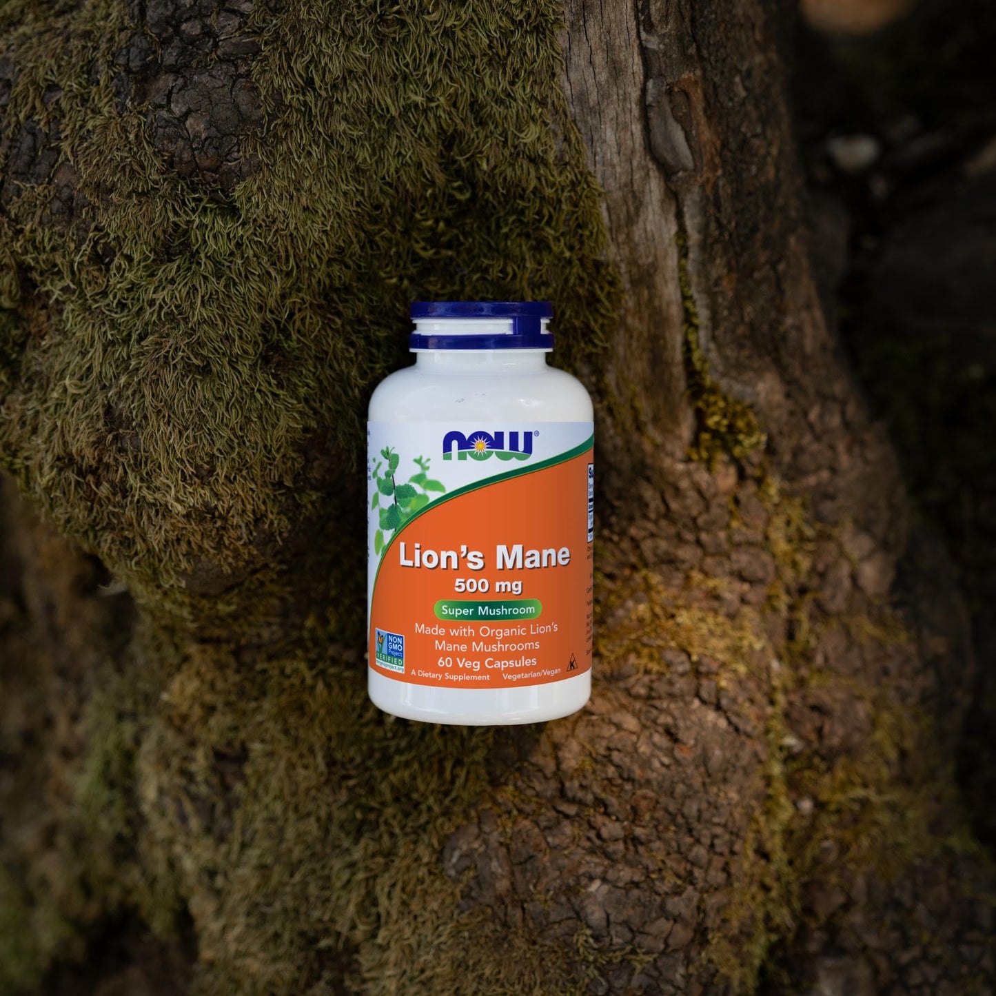 Non GMO verified organic wellness supplements imported directly to India