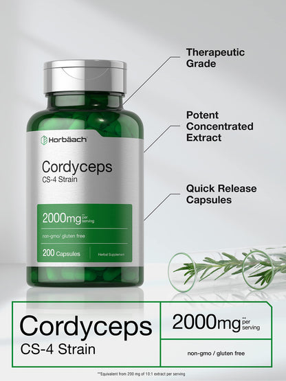 Premium non GMO gluten free cordyceps mushroom capsules for stamina boost
