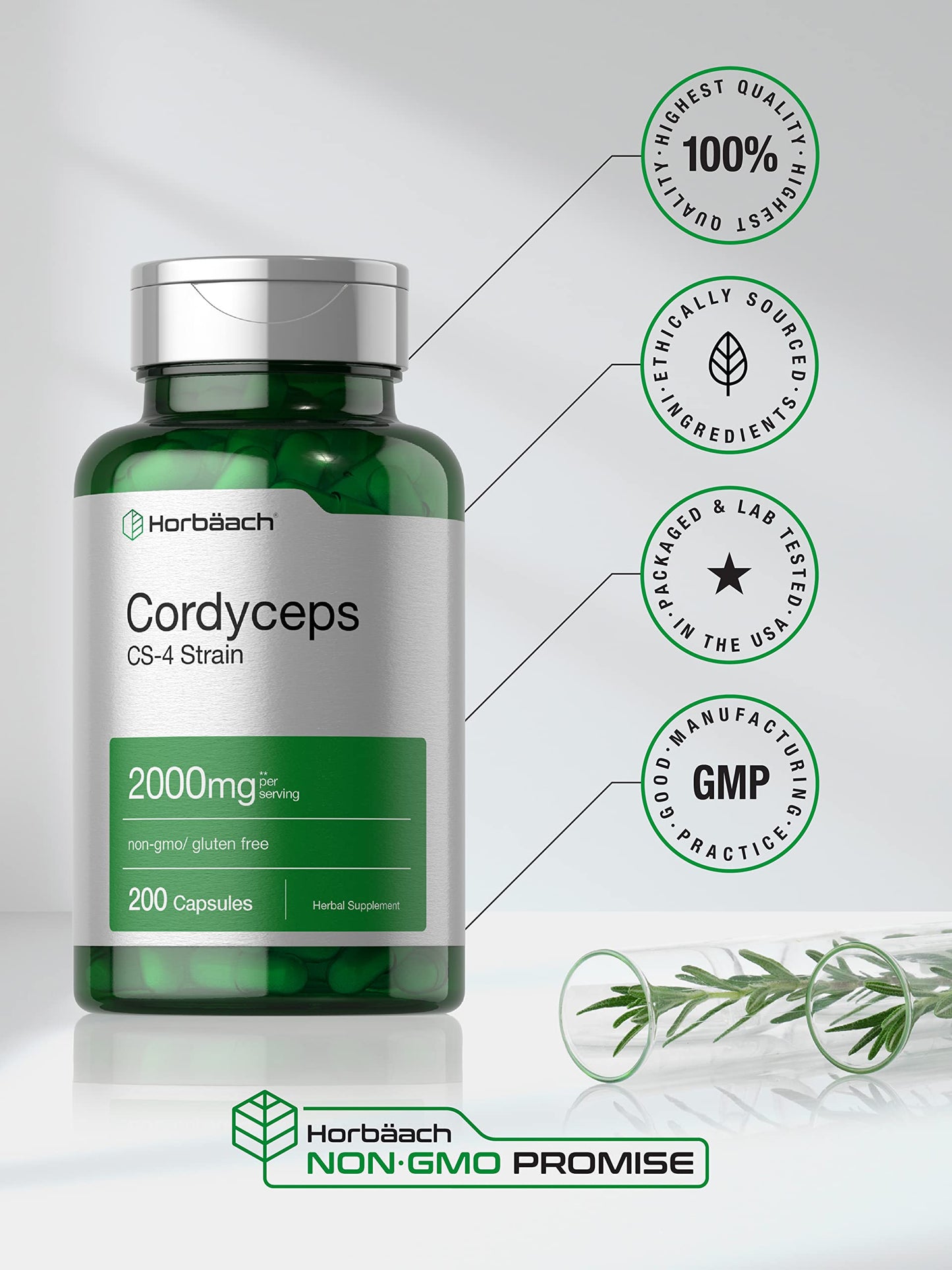USA imported premium energy supplement containing deep layer cultivated mycelia biomass