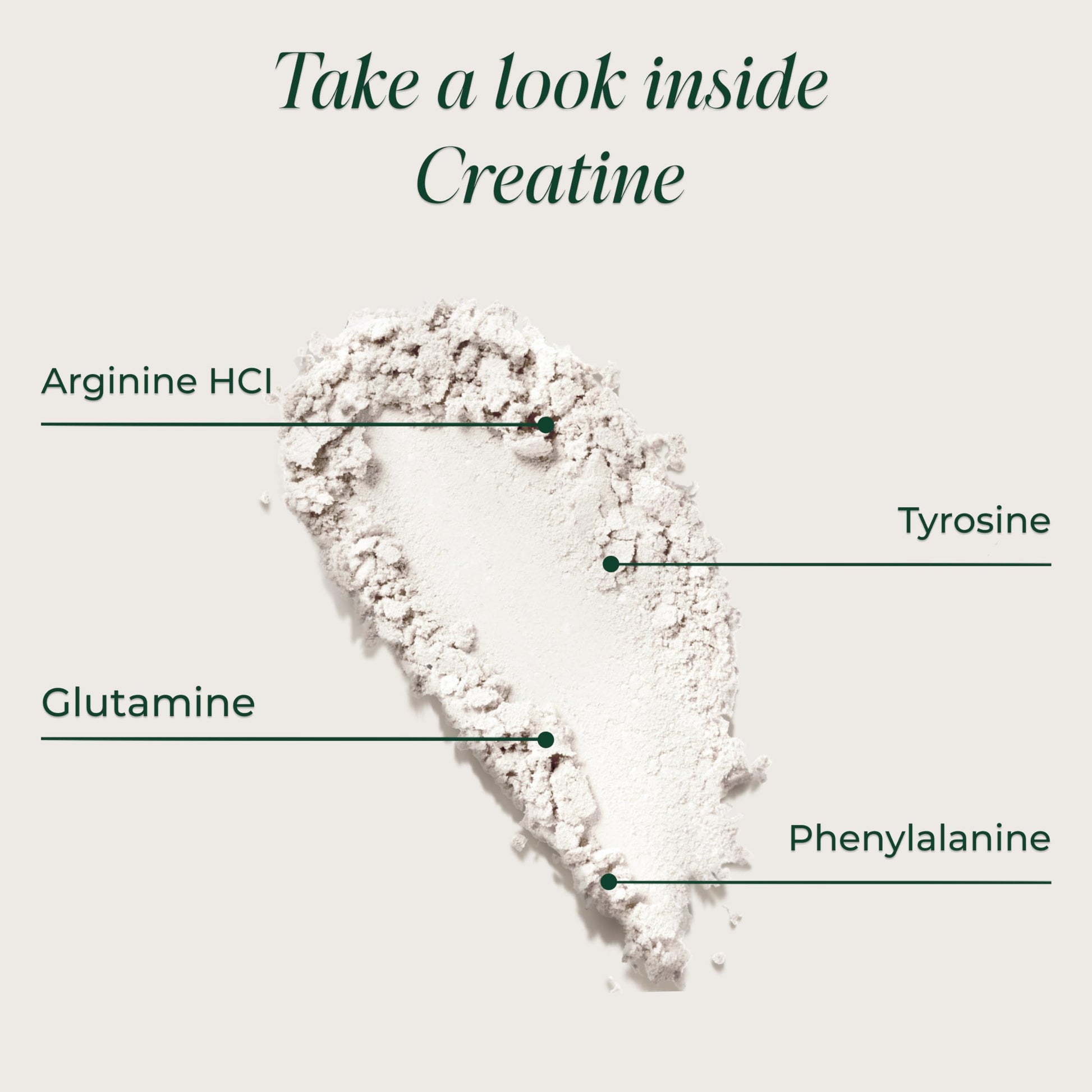 Primal Harvest Creatine label ingredients list