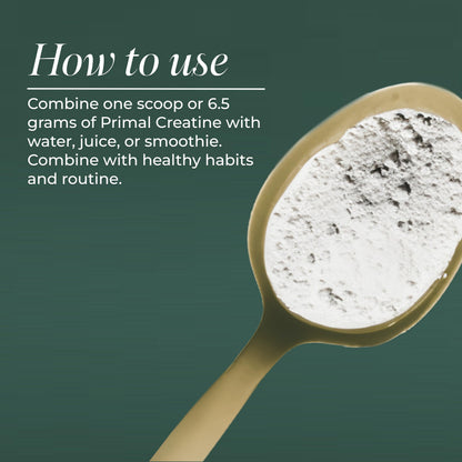 Scoop of Primal Harvest Creatine powder for workout