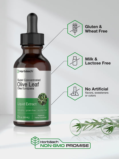 Authentic USA imported HorbÃ¤ach olive leaf extract 59 mL liquid supplement bottle with dropper cap.