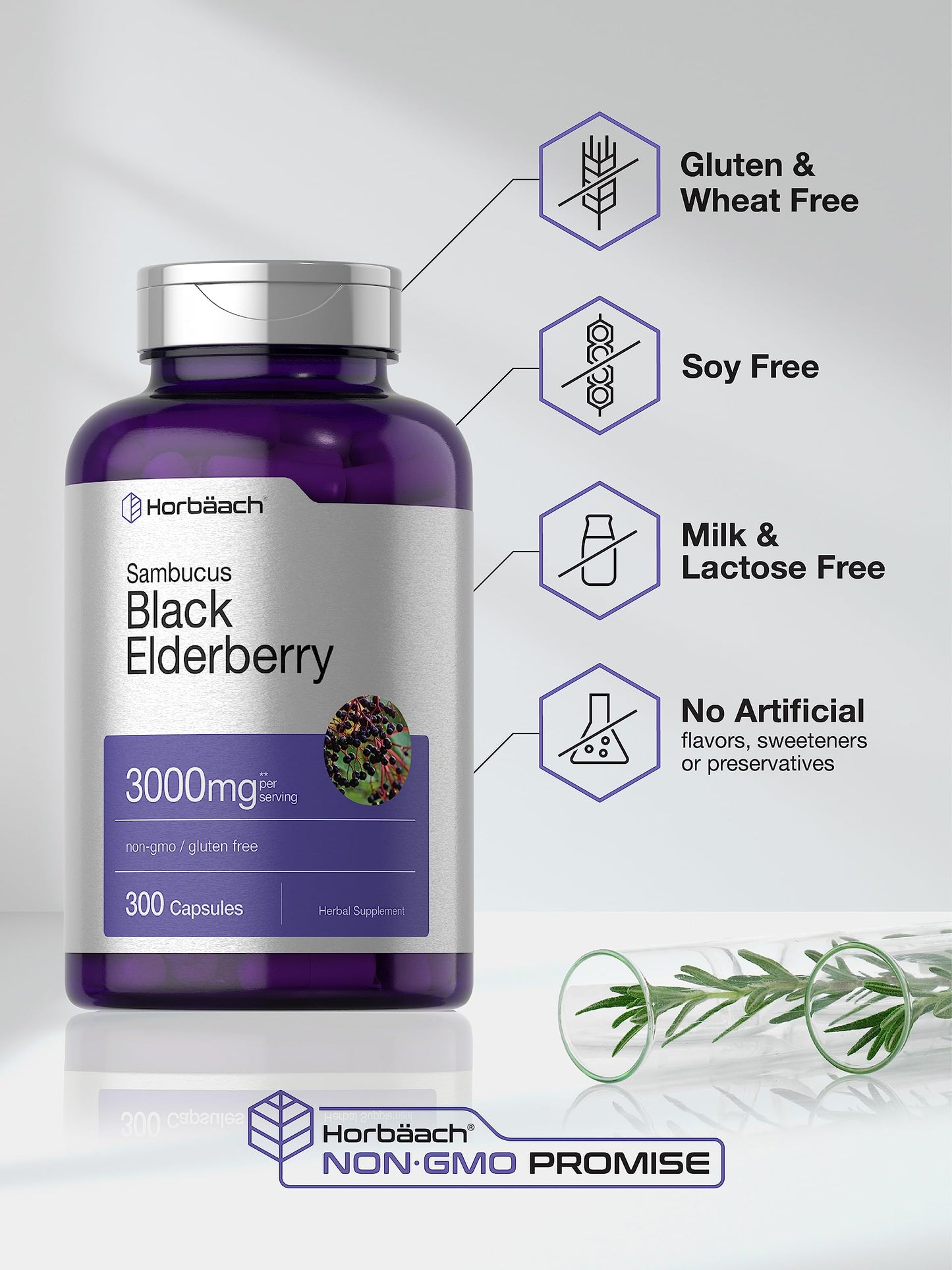 Horbäach black elderberry 2000mg equivalent capsules premium sealing verification details