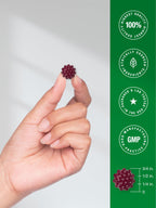 Horbäach black elderberry daily antioxidant supplement imported bottle view
