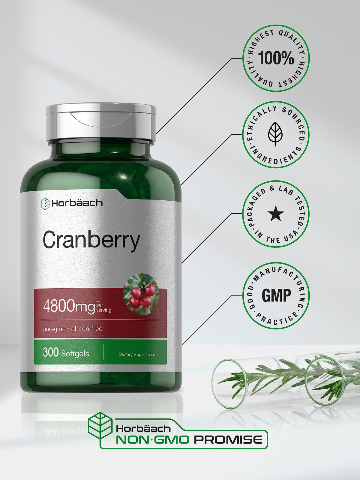 Authentic Horbaach Cranberry Supplement Capsule Size