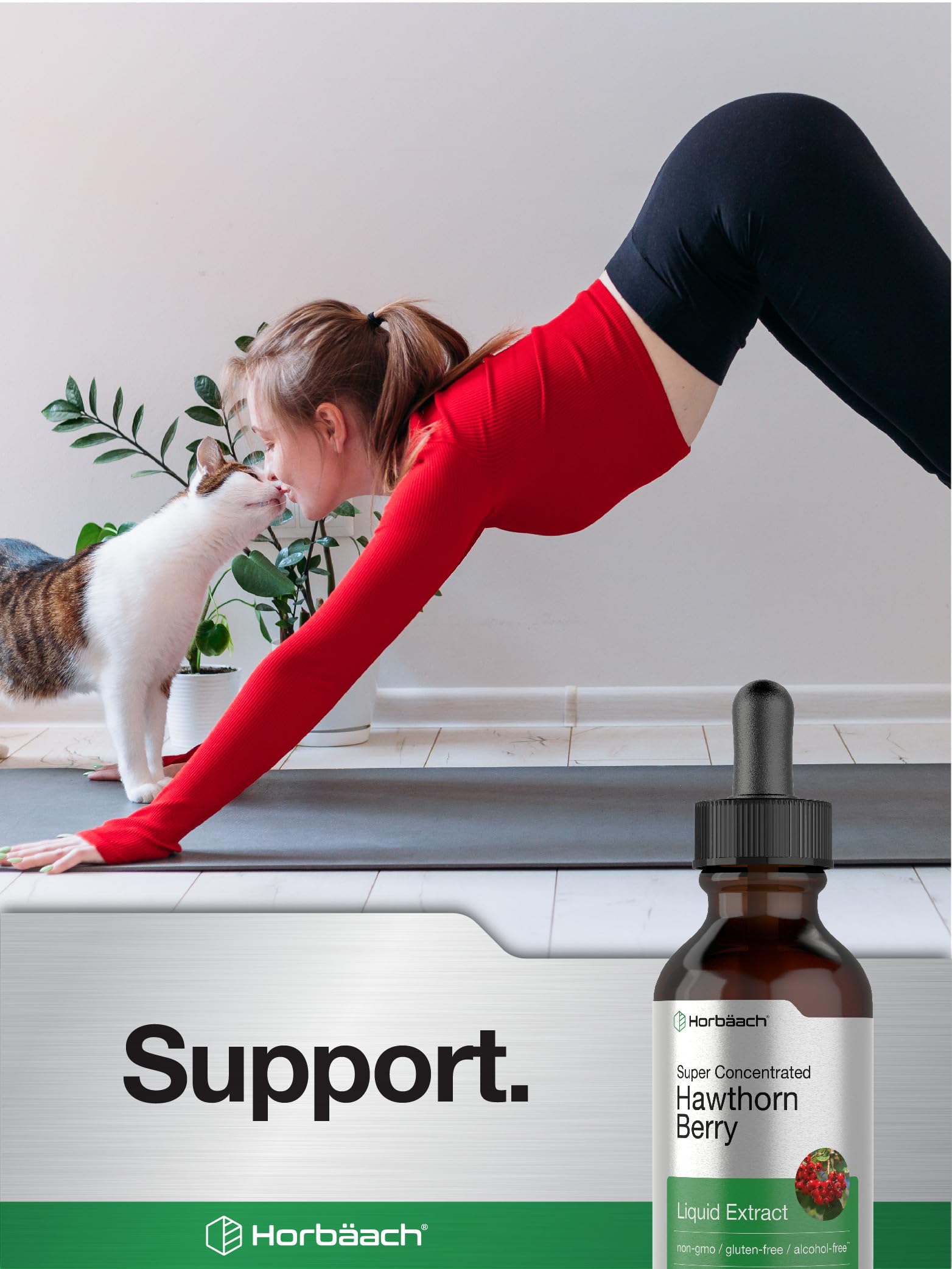 Gluten free and alcohol free herbal tincture bottle on a clear background