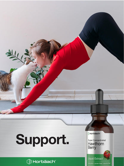Gluten free and alcohol free herbal tincture bottle on a clear background