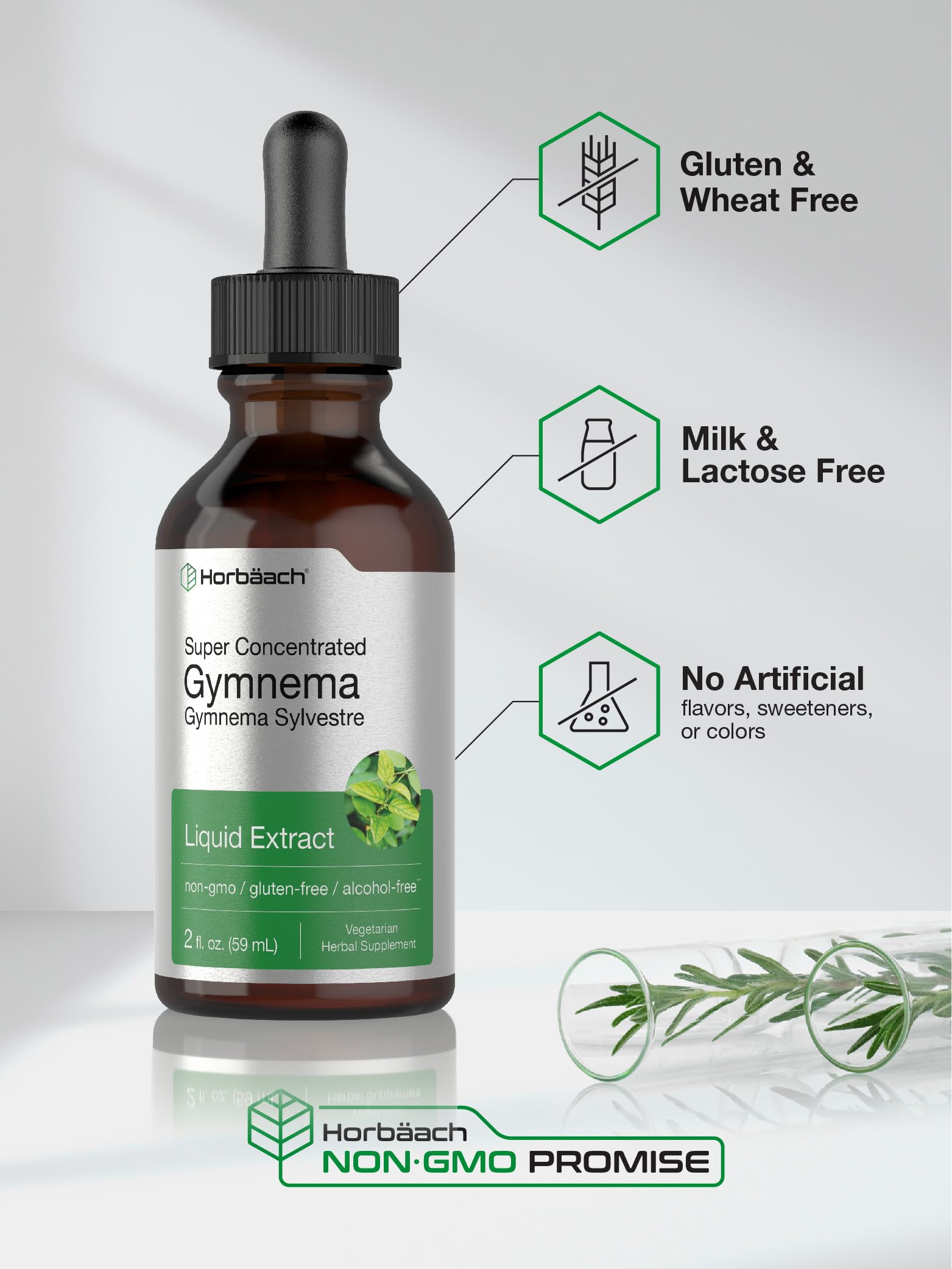 Back label of Horbaach Gymnema Sylvestre showing vegetarian and non GMO ingredients