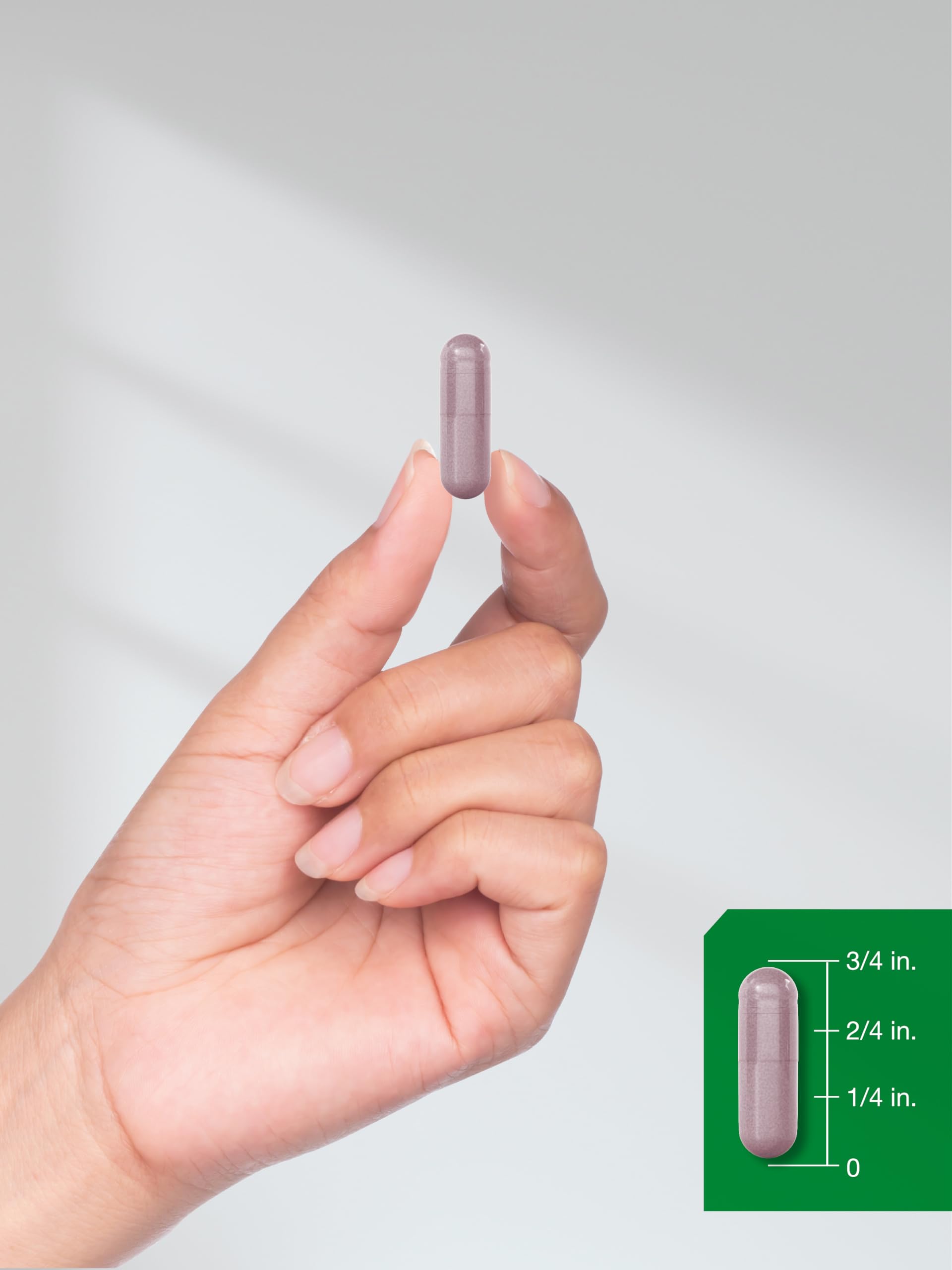 Horbaach Bilberry Fruit Extract dietary supplement bottle showcasing the brand promise and purity.