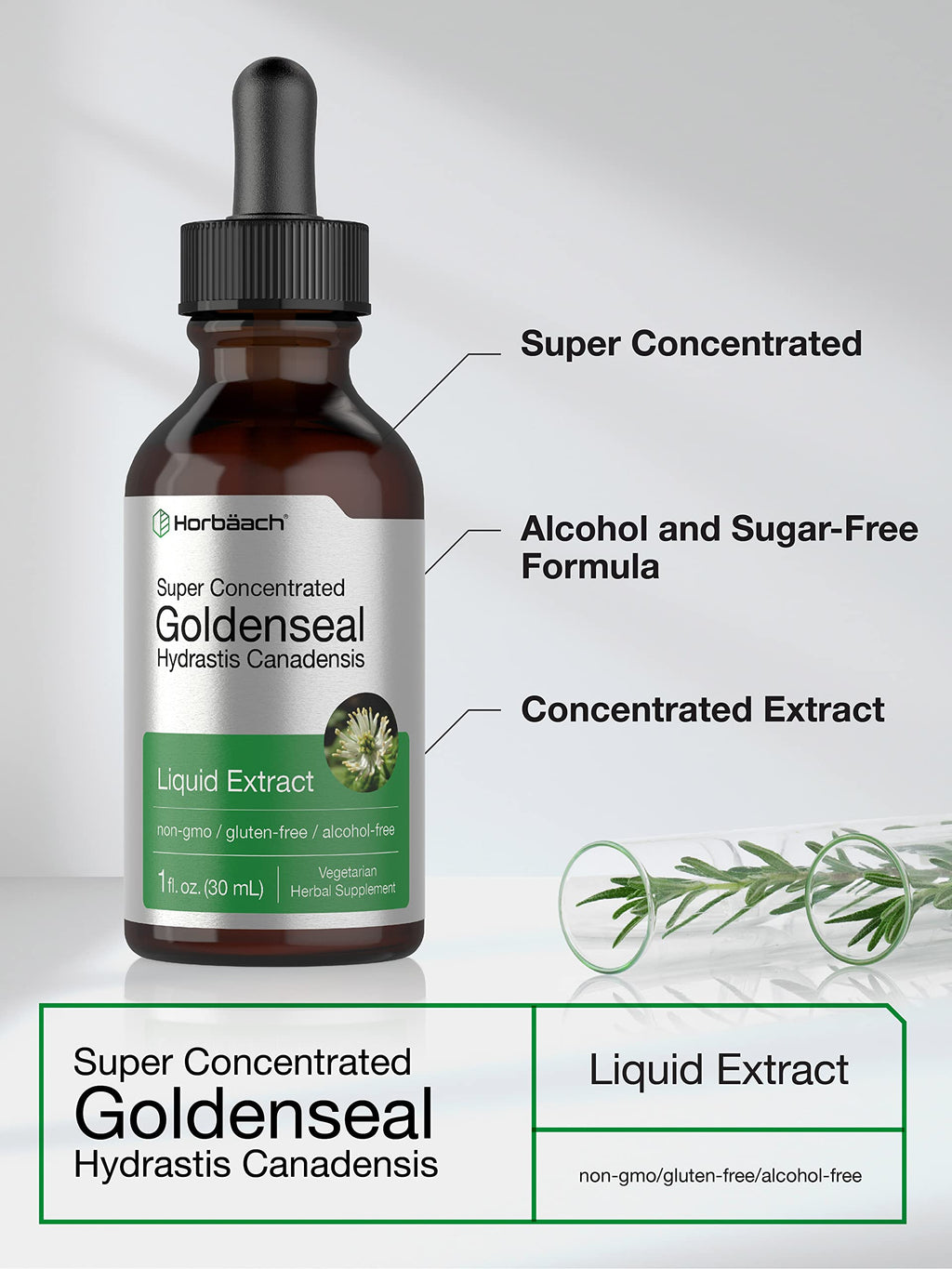 Back label of Horbaach Goldenseal 30ml showing ingredients and short term usage instructions