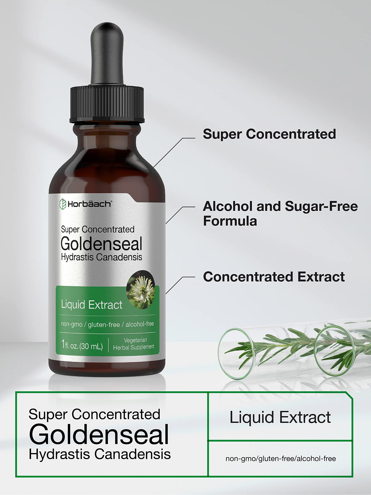 Back label of Horbaach Goldenseal 30ml showing ingredients and short term usage instructions
