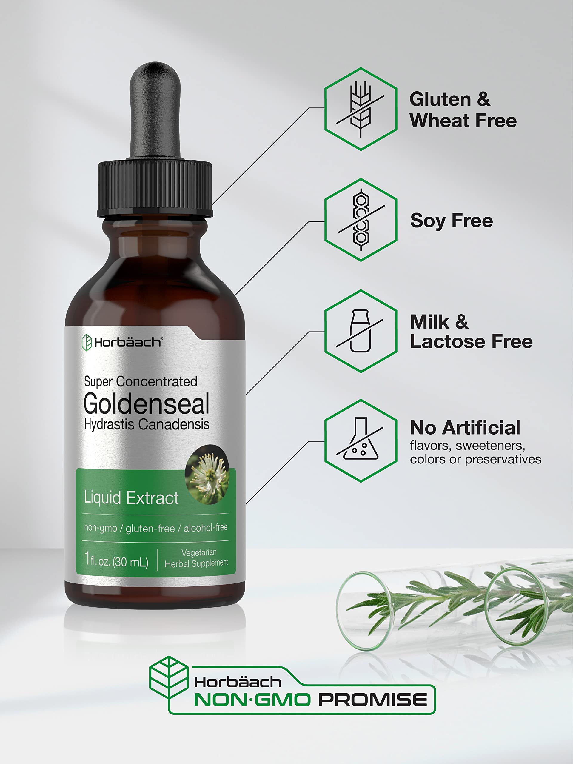 Horbaach Goldenseal Root fluid extract bottle showcasing the amber glass protective packaging