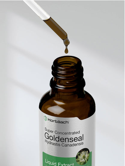 Authentic Horbaach Goldenseal Root 1 fluid ounce bottle displaying the quality assurance seal