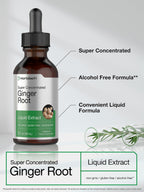 Side profile of Horbäach super concentrated ginger tincture showcasing vegetarian and non-GMO certification logos.