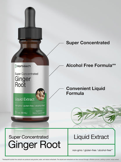 Side profile of Horbäach super concentrated ginger tincture showcasing vegetarian and non-GMO certification logos.