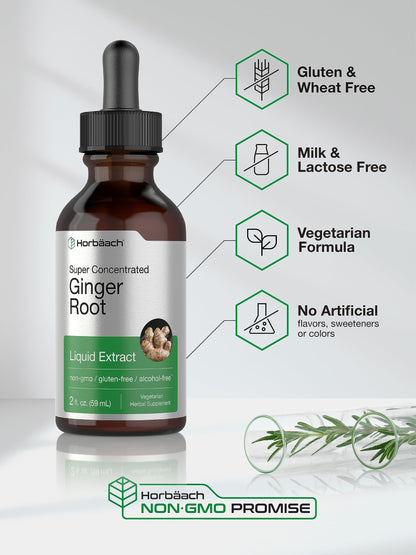 Close-up of the dropper applicator on the Horbäach ginger root extract bottle.