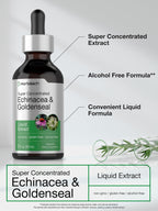 Close up of liquid tincture dropper for herbal supplement