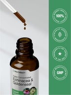 Horbäach Echinacea and Goldenseal bottle in packaging