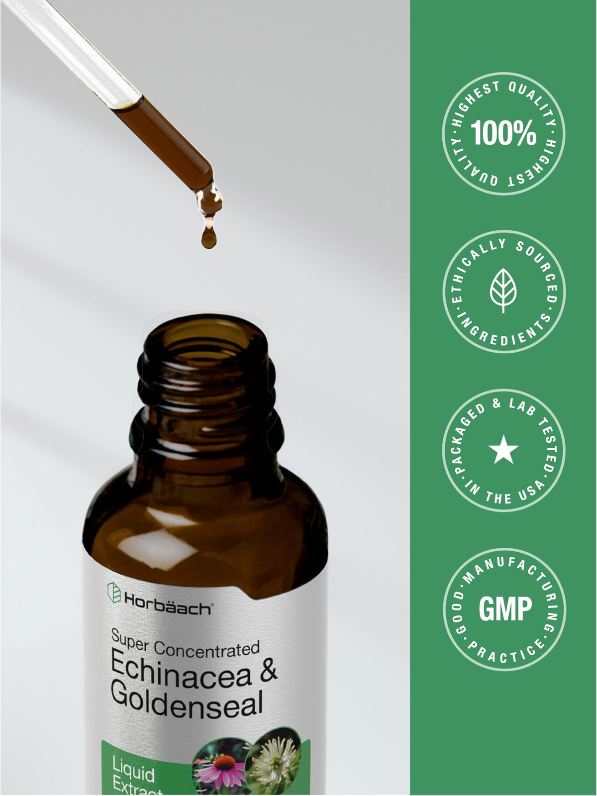 Horbäach Echinacea and Goldenseal bottle in packaging