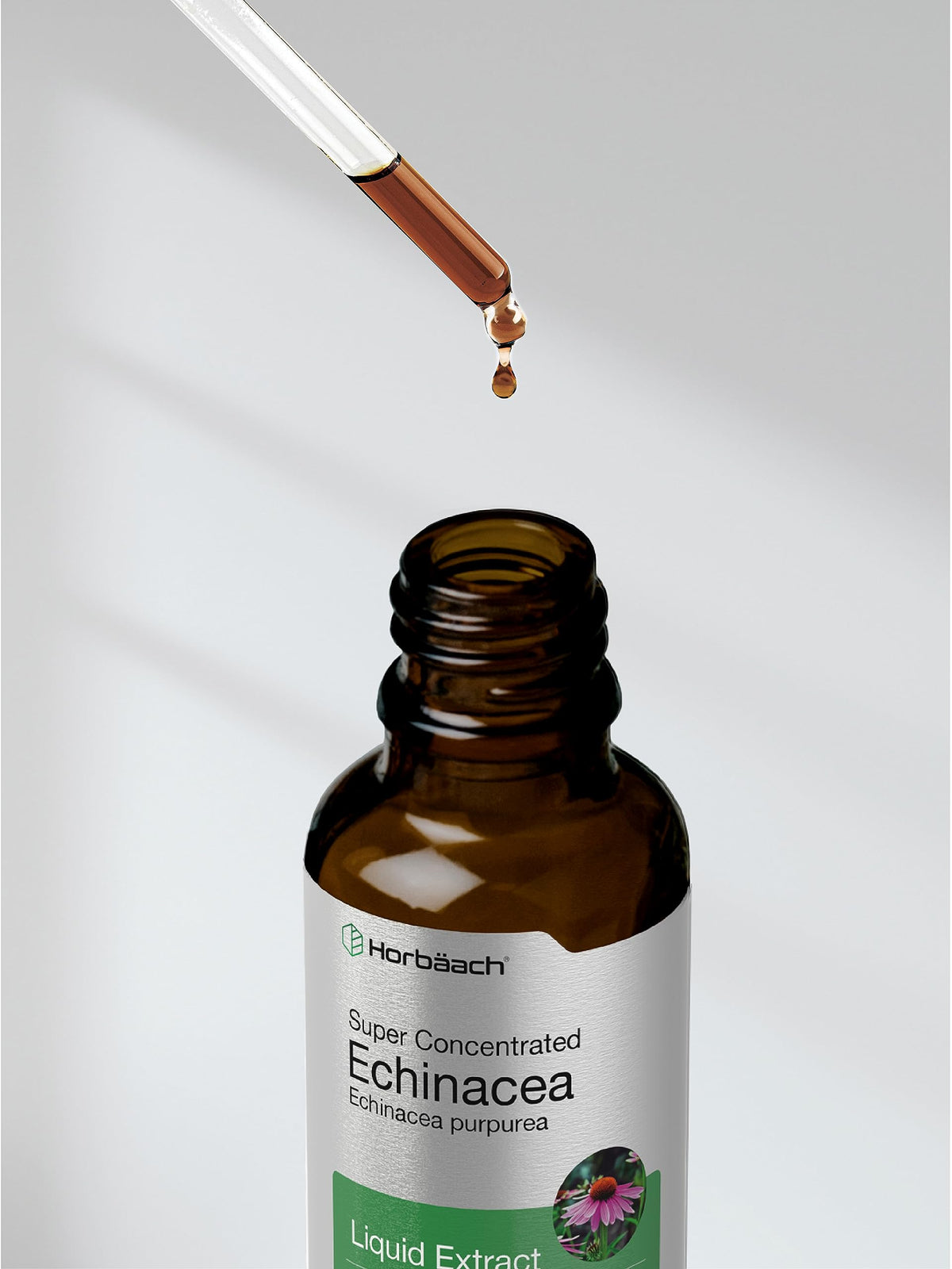 Horbäach Echinacea supplement side view