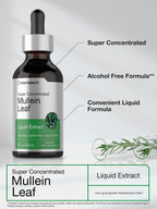 Horbäach Mullein Leaf Extract liquid bottle showing supplement facts label