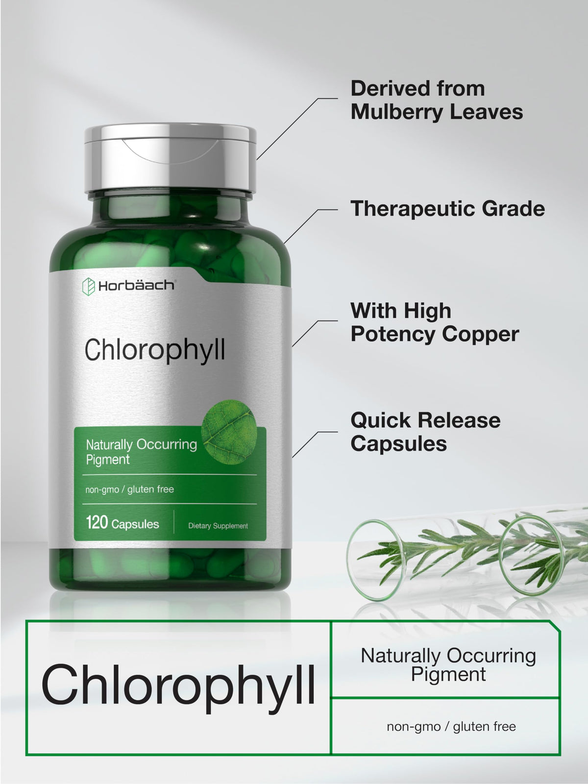 Horbaach Chlorophyll internal deodorizer supplement green bottle angle view on a solid background