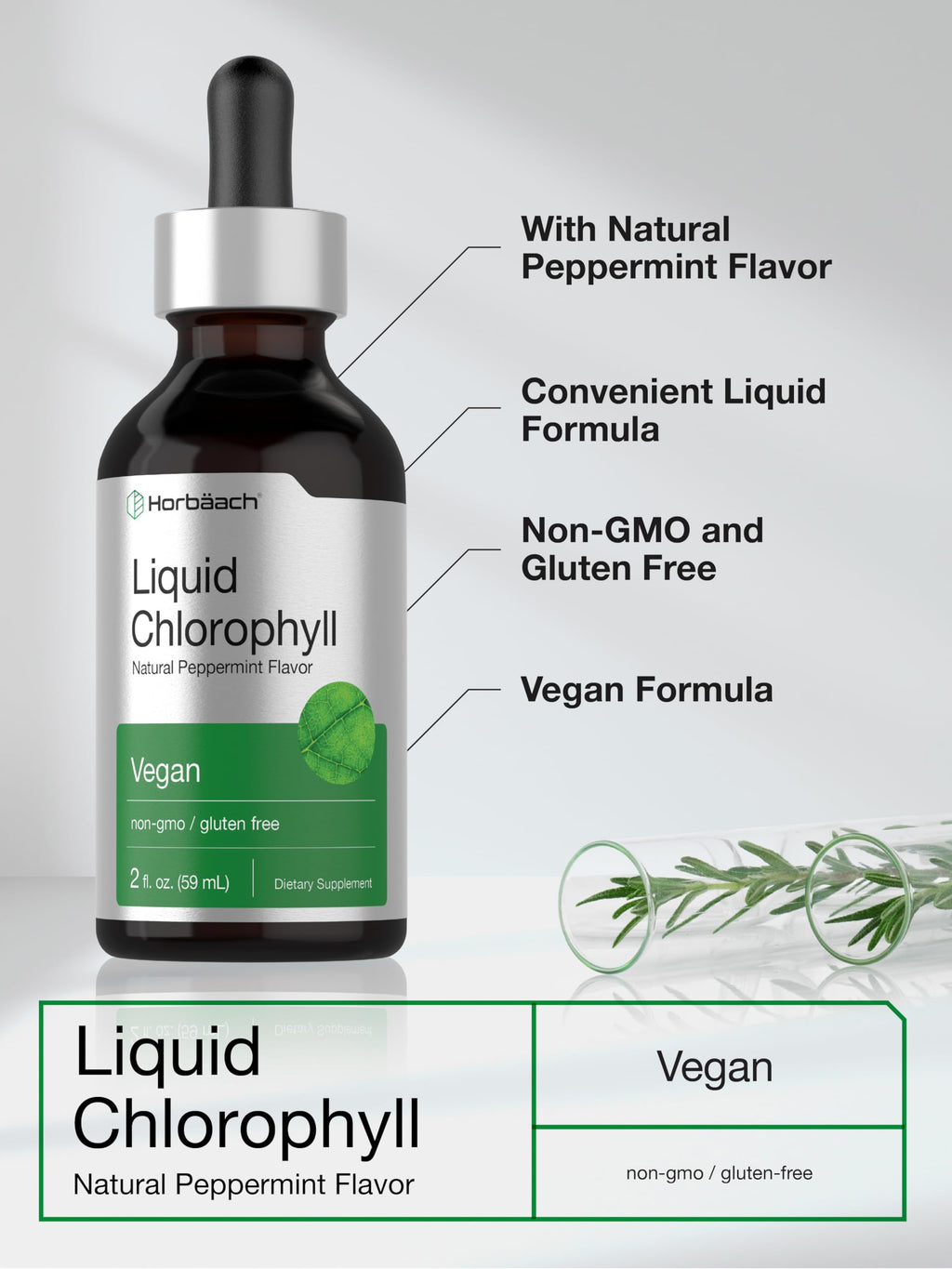 Natural green plant superfood chlorophyllin supplement facts and ingredients label