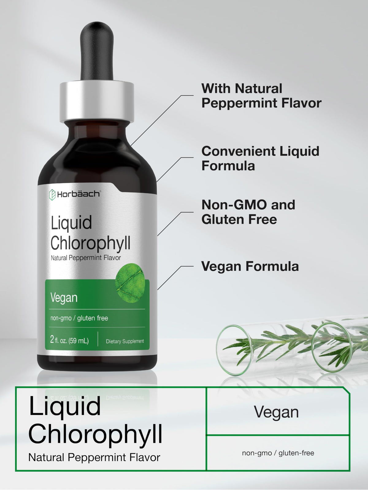 Natural green plant superfood chlorophyllin supplement facts and ingredients label