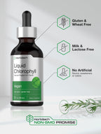 Horbaach liquid chlorophyll two fluid ounces glass bottle close up