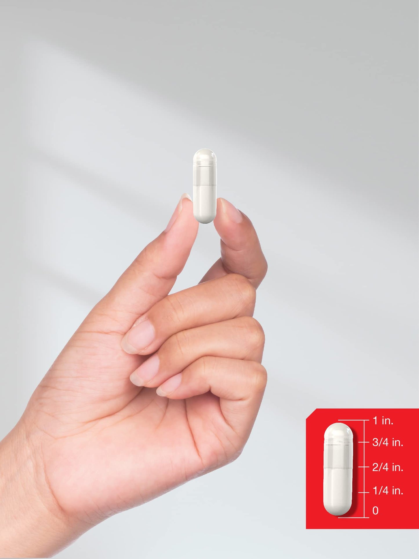 Horbäach pre workout muscle recovery dietary supplement capsule count details