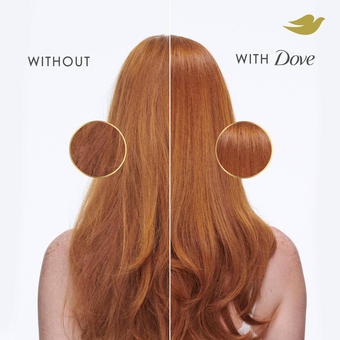 Dove dry hair therapy shampoo bottle showing liquid consistency and formula attributes