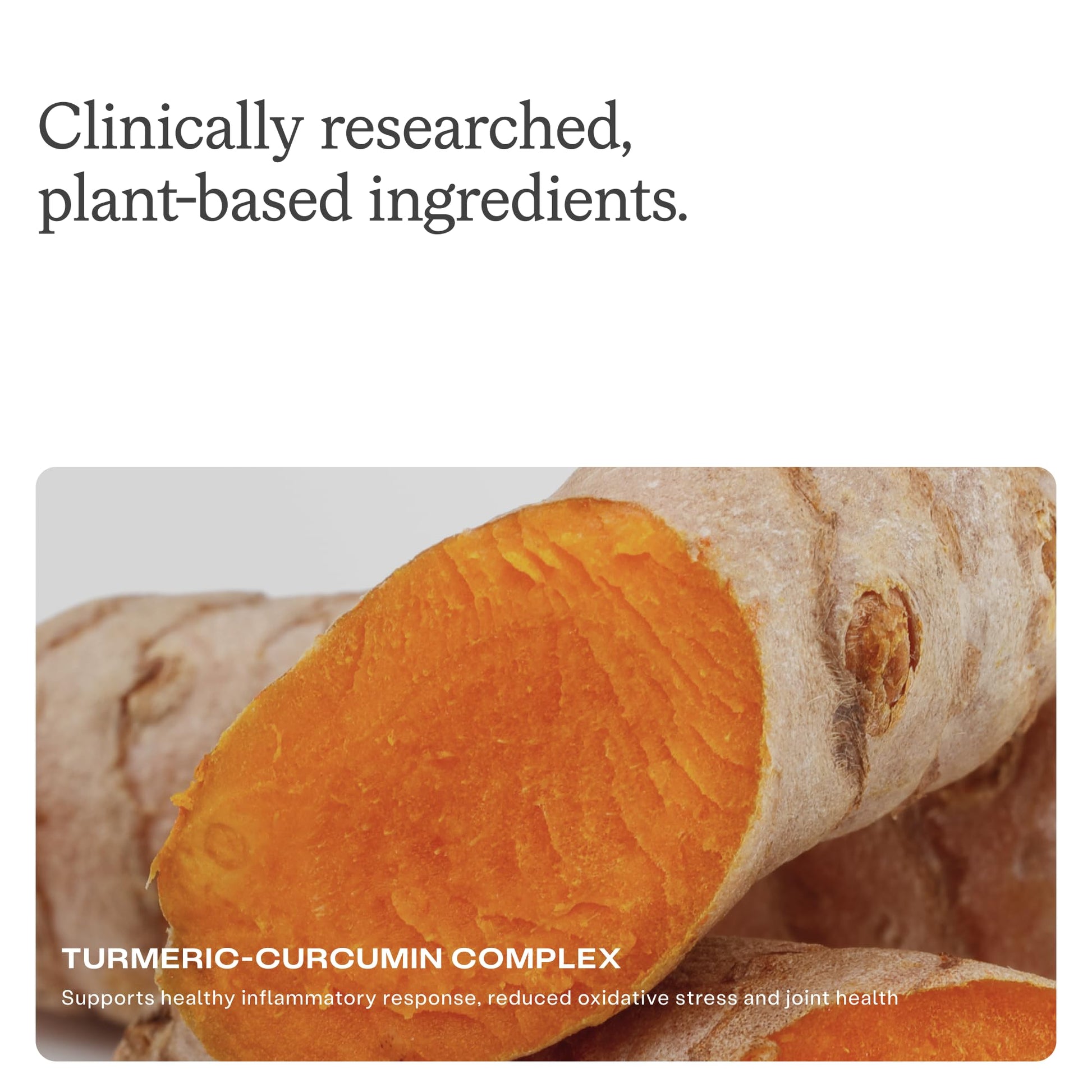 HumanN TurmiPure Gold turmeric extract 30 count premium wellness supplement for joint mobility