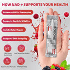 Zooone NAD+ supplement ingredient highlights and panel