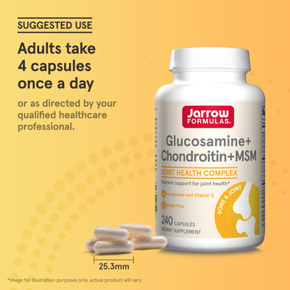 Jarrow Formulas Glucosamine Chondroitin MSM 60 day supply bottle