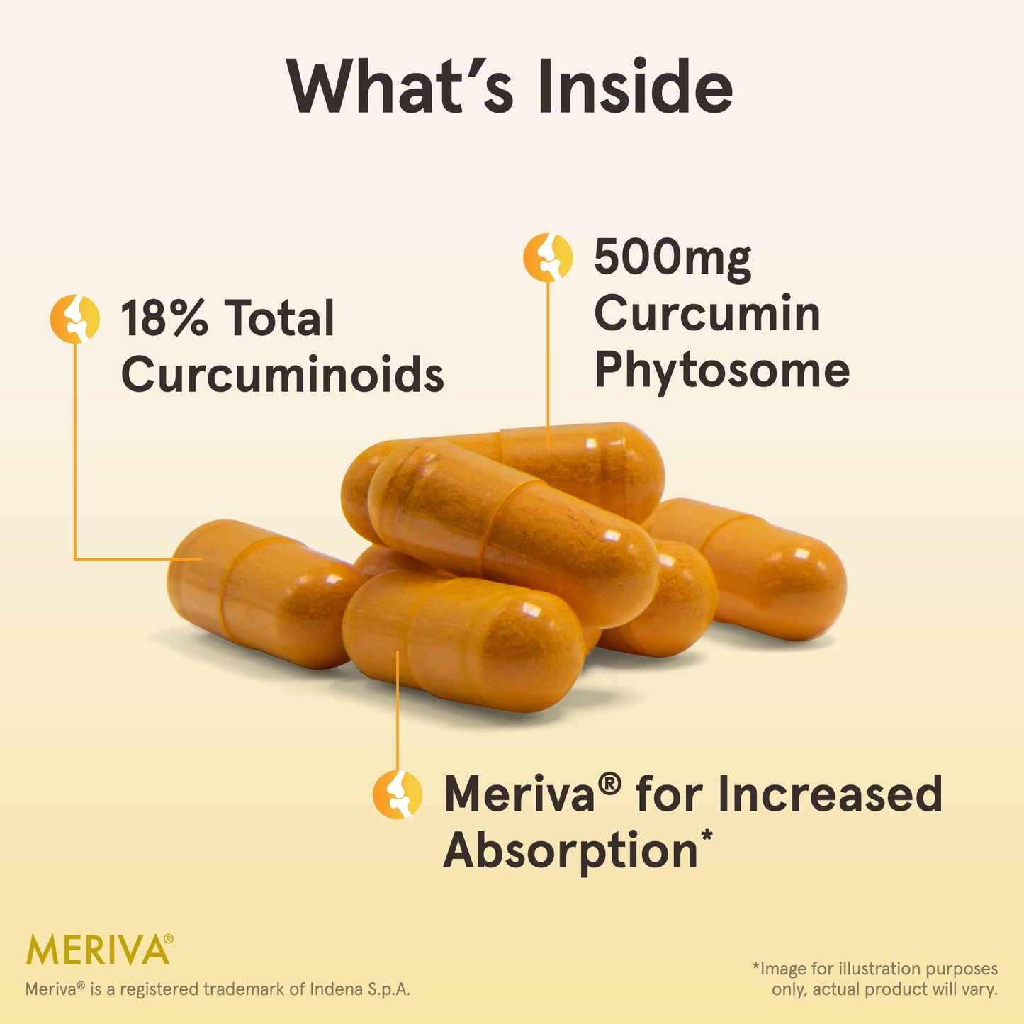 Jarrow Formulas Curcumin Phytosome Meriva 500mg vegetable capsules bottle back view