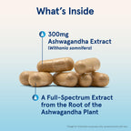 Authentic Jarrow Formulas Ashwagandha 120 vegetarian capsules imported bottle