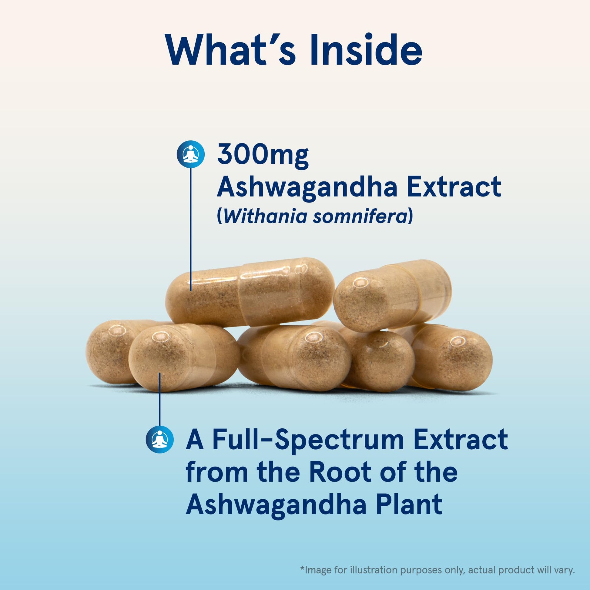 Authentic Jarrow Formulas Ashwagandha 120 vegetarian capsules imported bottle