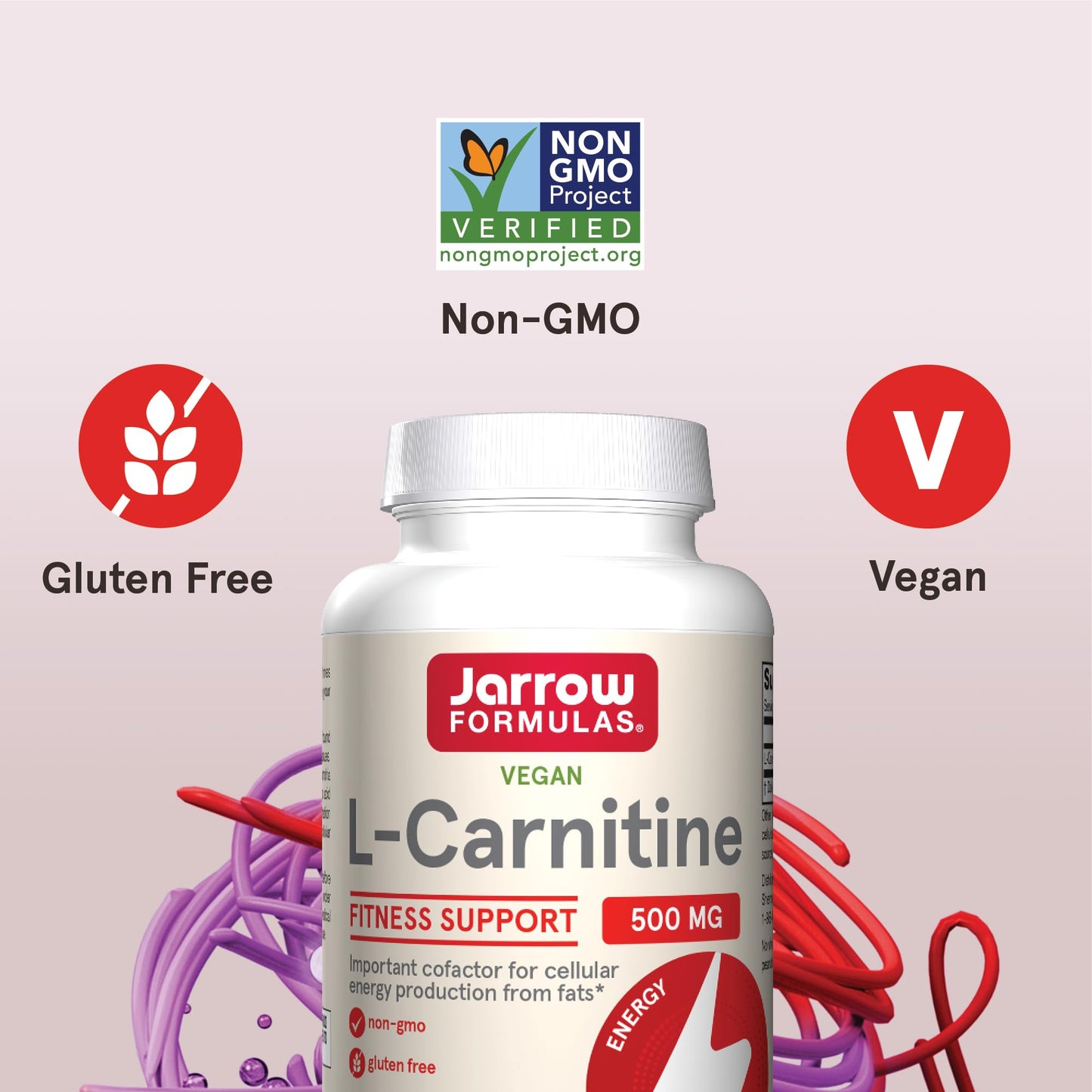 Vegan and gluten free certified Jarrow Formulas L Carnitine 500mg dietary supplement