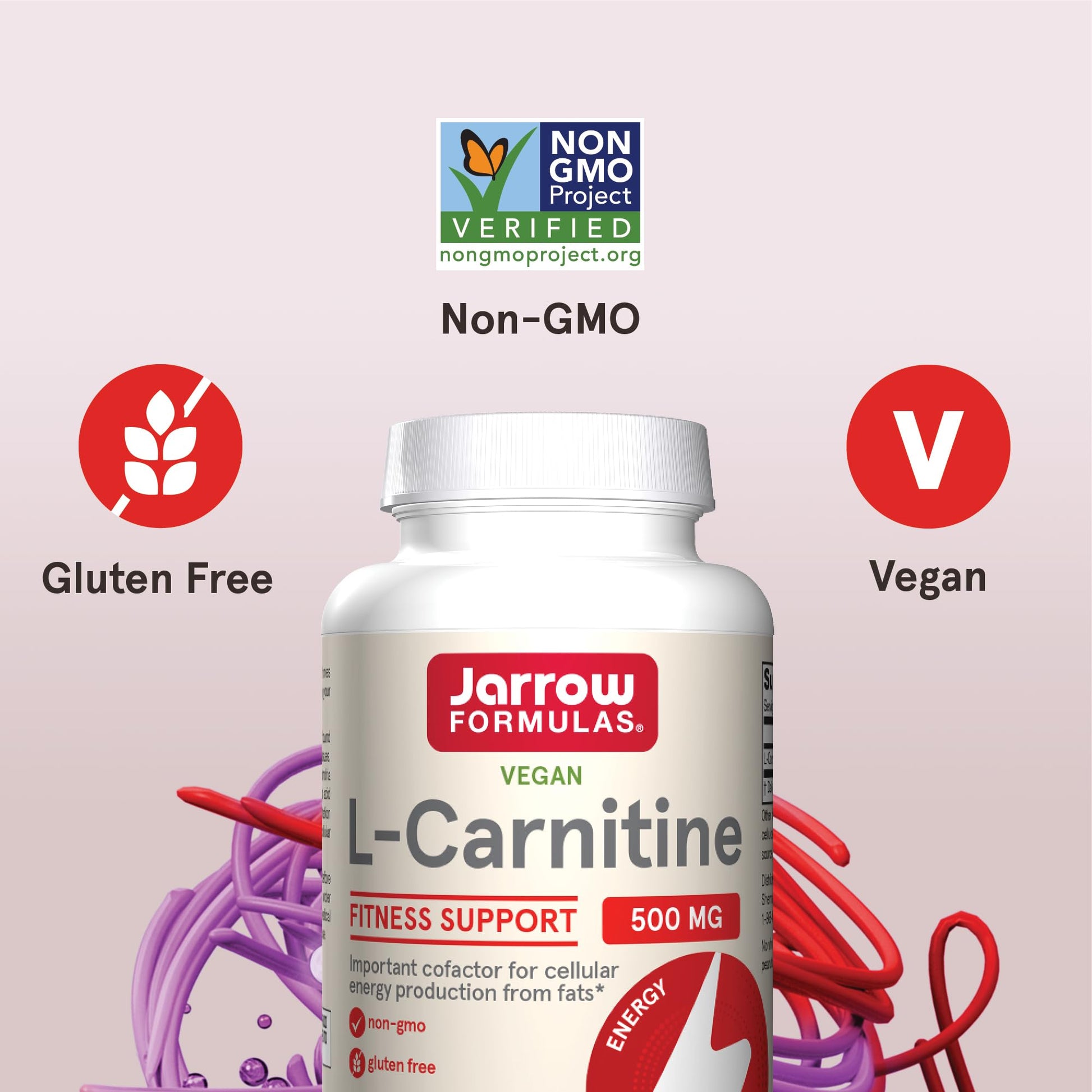 Vegan and gluten free certified Jarrow Formulas L Carnitine 500mg dietary supplement