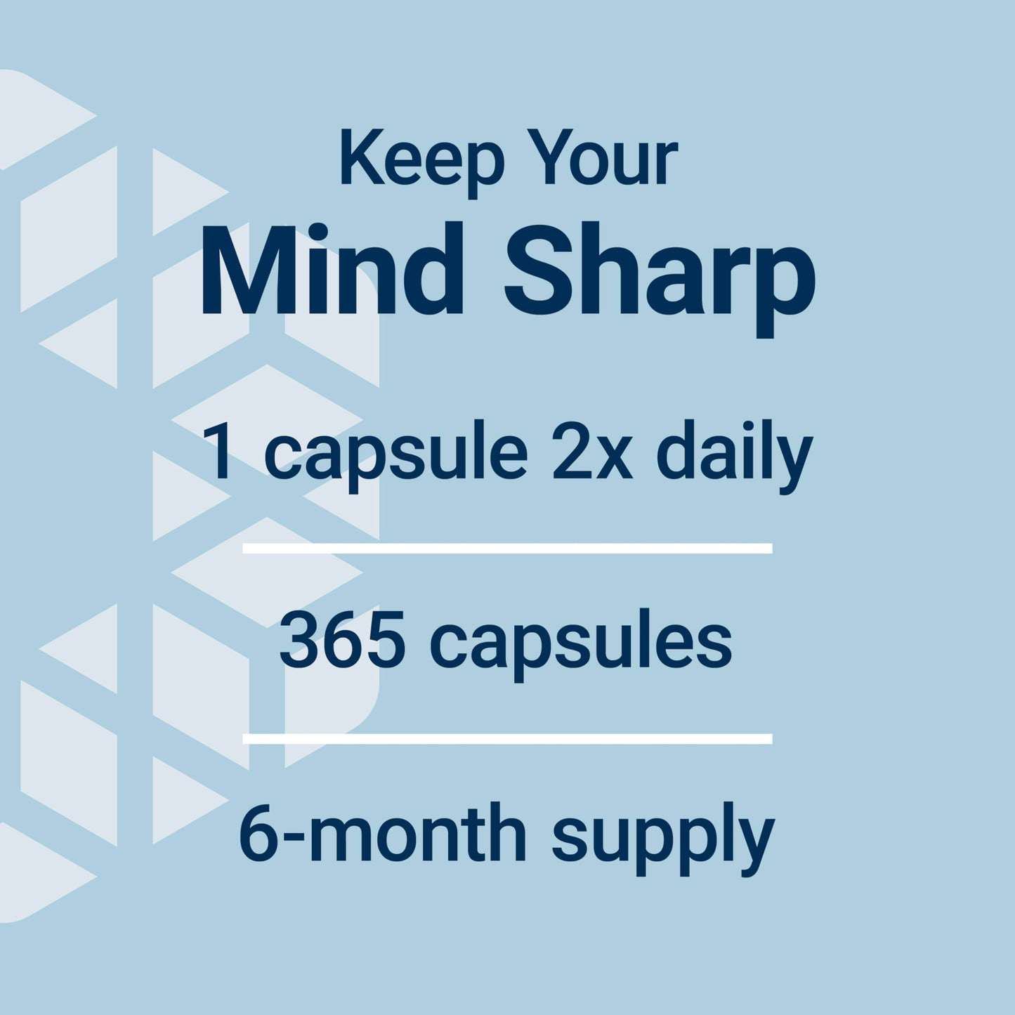 Premium imported Life Extension Ginkgo Biloba 120 milligram 365 capsule container packaging