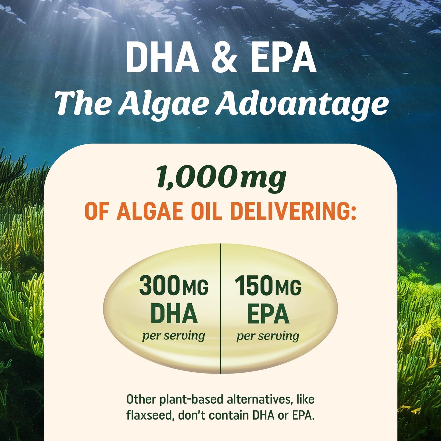 MAV Nutrition carrageenan free algae oil capsules close up view