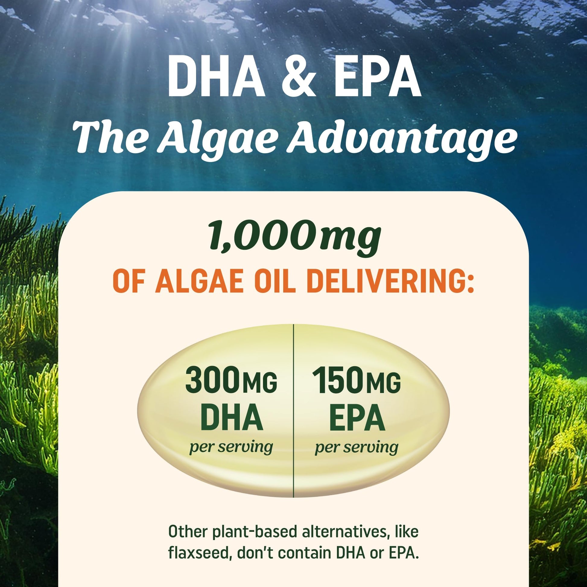MAV Nutrition carrageenan free algae oil capsules close up view