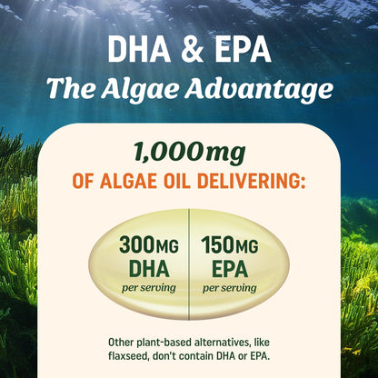 MAV Nutrition carrageenan free algae oil capsules close up view
