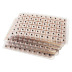 Close up view of natural vaccaria seeds on adhesive backing