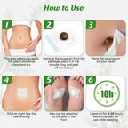 DAZZTIME Benjen Mugwort Belly Patch complete set components layout