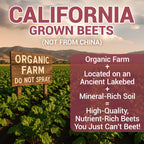 Dr. Berg Raw Organic Beet Powder nutrition facts label and pure ingredients list.
