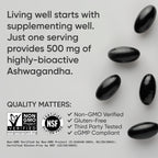 Sports Research 120 milligrams Shoden extract non-GMO certified wellness supplement